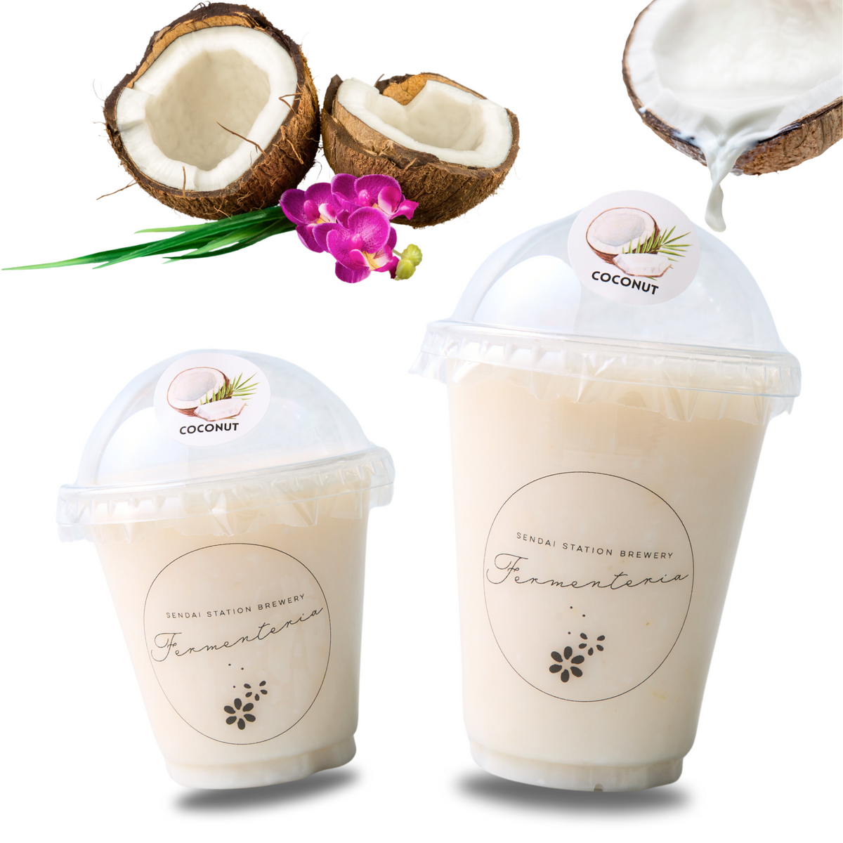 シティサイクル】 COCONUT ココナッツ【引取限定・現状渡し】三重県