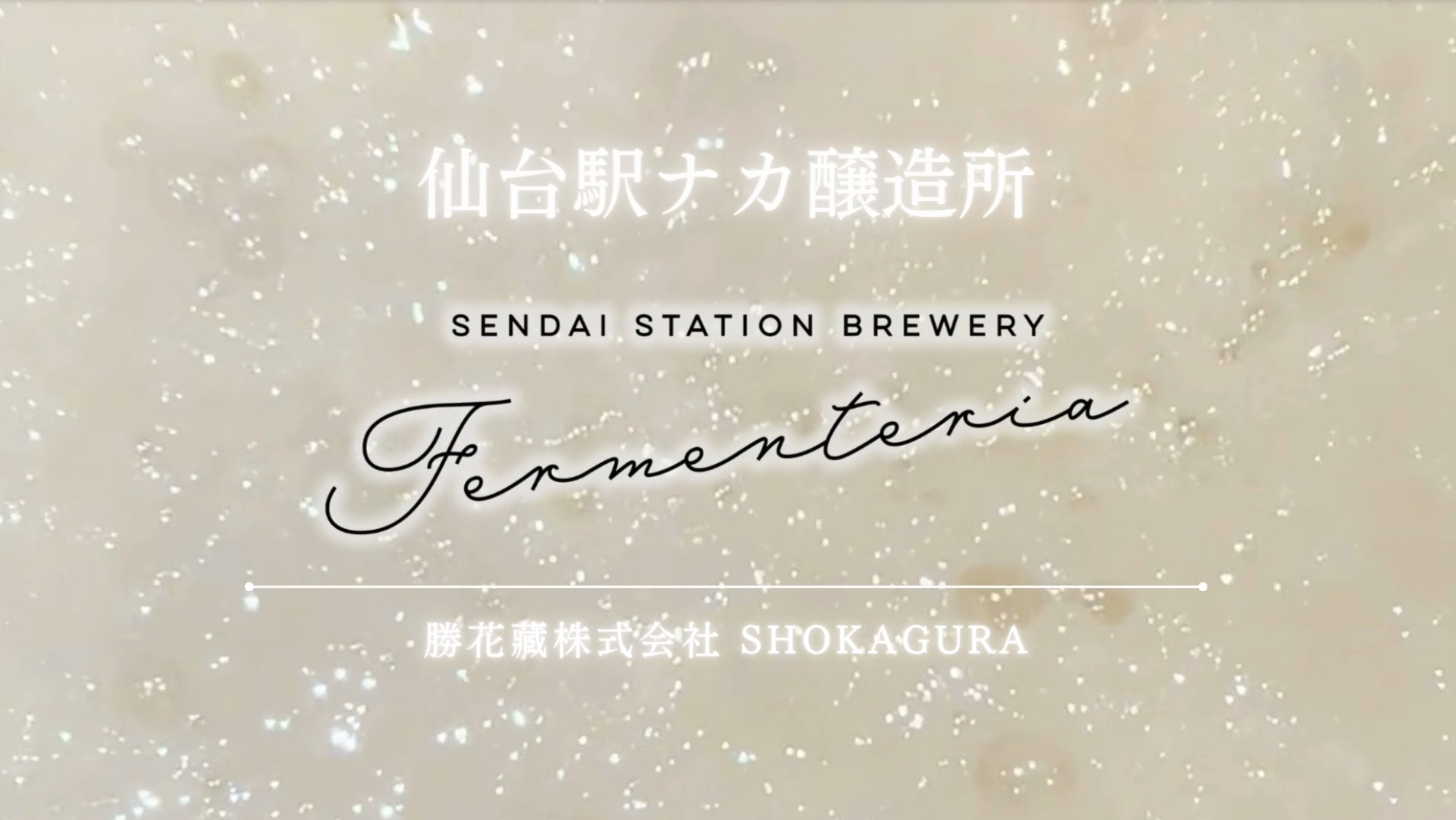 動画を読み込む: 